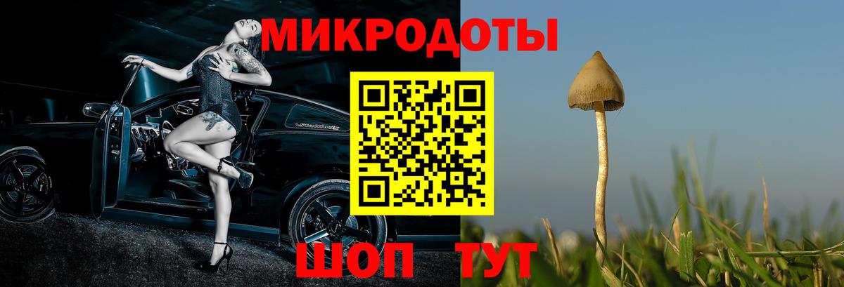 Псилоцибиновые грибы MAGIC MUSHROOMS Фурманов